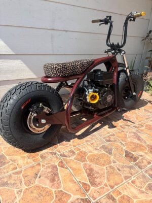 affordable mini bikes