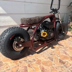Coleman Pro Mini Bike