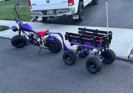Fat Boy Mini bike and trailer - Image 2