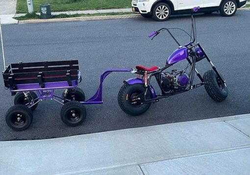 Fat Boy Mini bike and trailer - Image 3