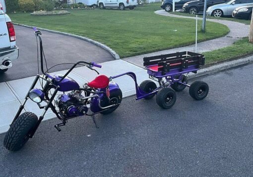 Fat Boy Mini bike and trailer - Image 4